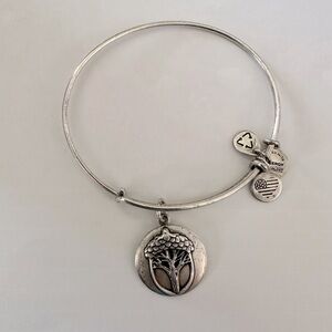 Alex and Ani Bangle Bracelet
